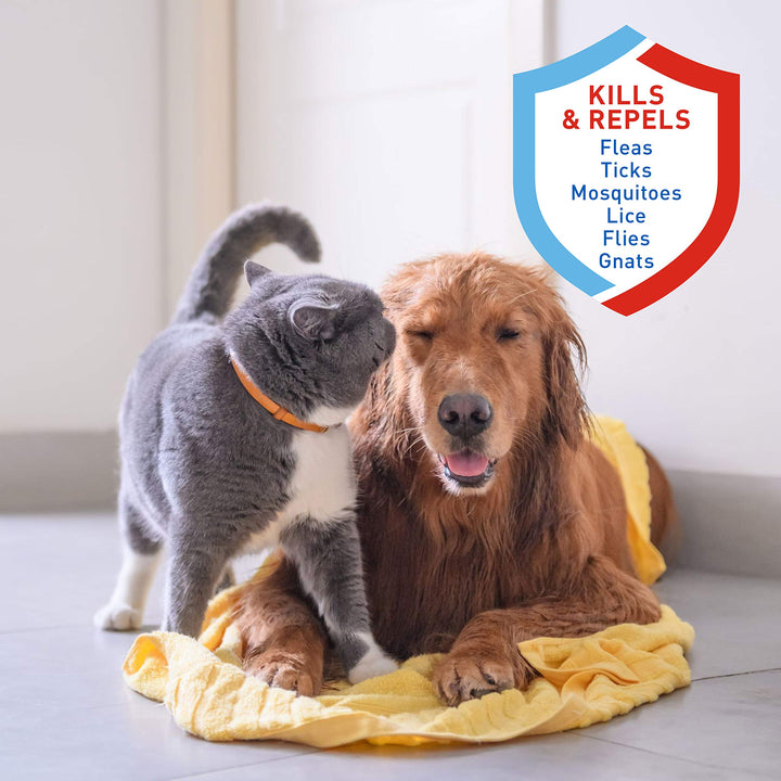 Adams Plus Pyrethrin Dip For Dogs and Cats | Kills and Repels Fleas, Ticks, Lice, Gnats, Mosquitoes and Flies | 4 Fl Oz