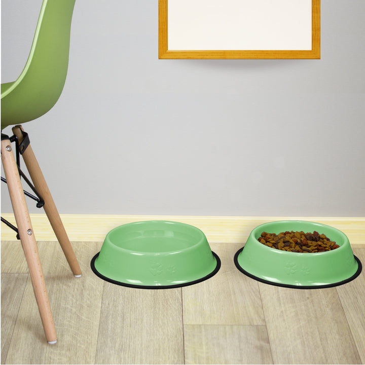 Platinum Pets Embossed Non-Tip Stainless Steel Cat/Dog Bowl, Mint Green, X-Large