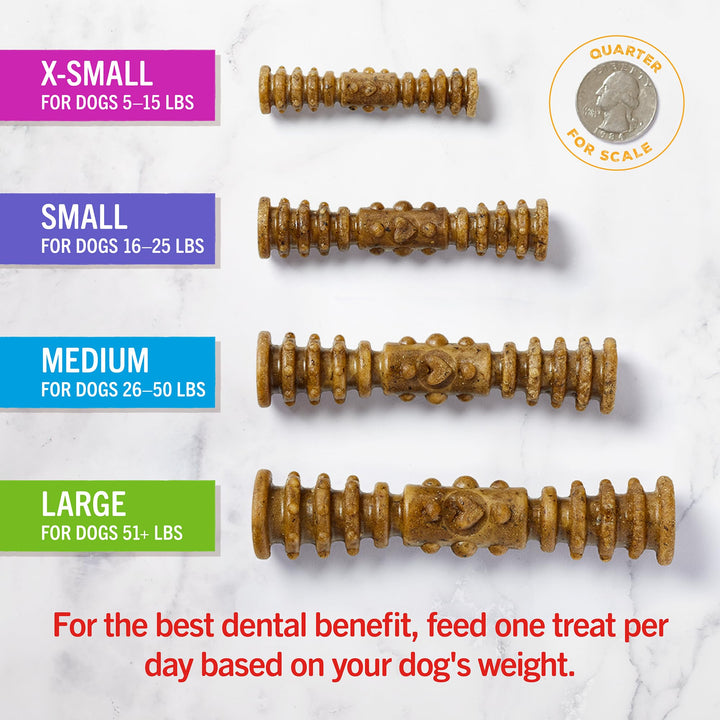 Stella & Chewy's Dental Delights with Freeze-Dried Chicken - Large Dental Treats for Dogs, 5.5 Ounce Bag 5.5 Ounce (Pack of 1)
