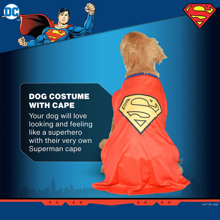 DC Comics Superhero Superman Halloween Dog Costume - X-Small - | DC Superhero Halloween Costumes for Dogs, Funny Dog Costumes | Officially Licensed DC Dog Halloween Costume Blue