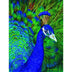 Sunsout Peacock 1000 Pc Jigsaw Puzzle 26204