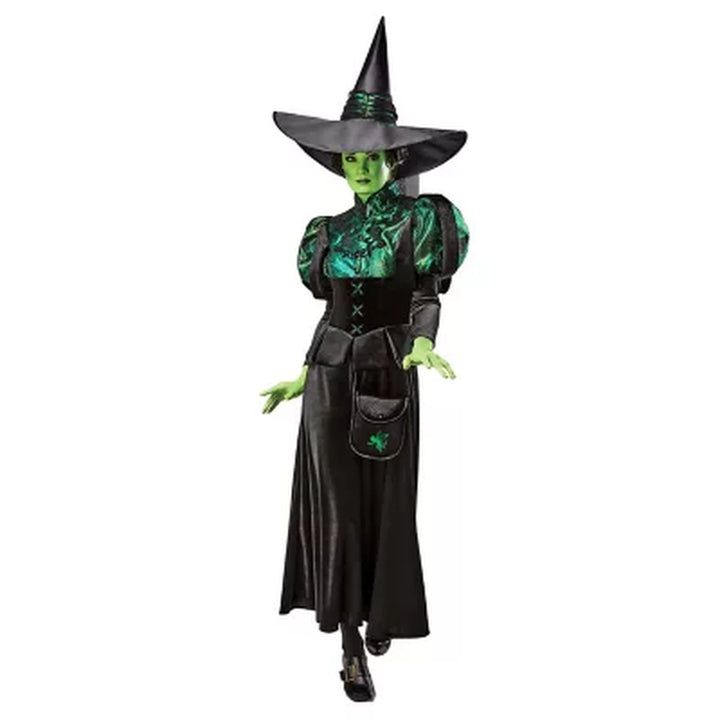 Wizard of Oz Wicked Witch Adult Premium Costume