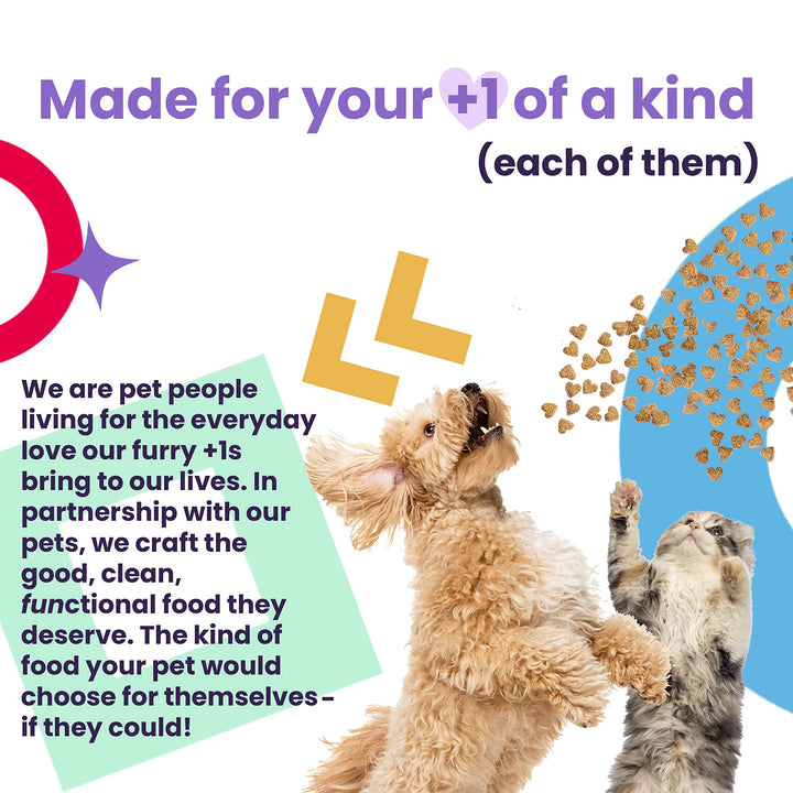 I and love and you Naked Essentials Dry Dog Food for Puppies - Chicken + Lentils - High Protein, Real Meat, No Fillers, Prebiotics + Probiotics, 4lb Bag 4 Pound (Pack of 1)