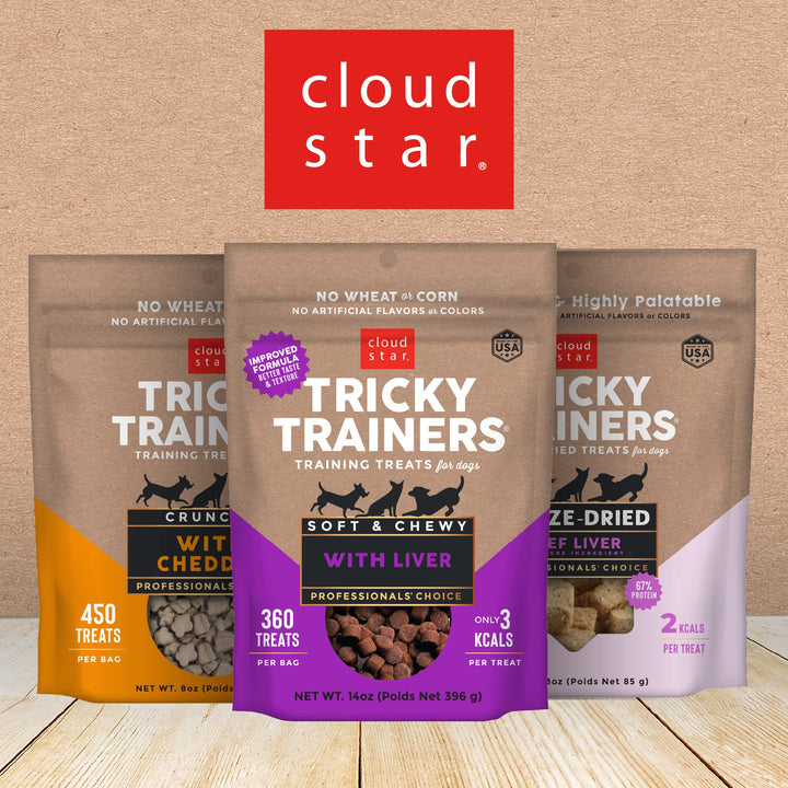 Cloud Star Tricky Trainers Soft & Chewy Dog Training Treats 14 oz Pouch, Salmon Flavor, Low Calorie Behavior Aid with 360 Treats