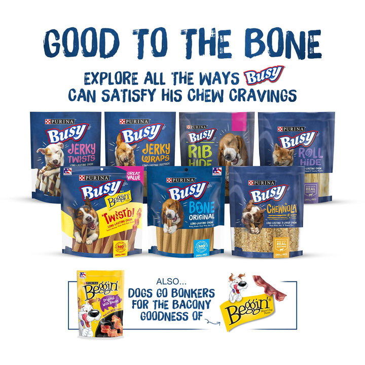 Purina Busy with Beggin' Made in USA Facilities Medium Dog Treats, Twist'd Cheddar and Hickory Smoke Flavors - 21 oz. Pouch