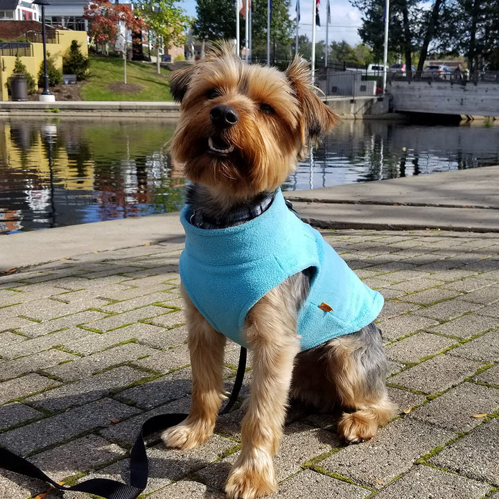 Gooby Zip Up Fleece Dog Sweater - Turquoise, X-Small - Warm Pullover Fleece Step-in Dog Jacket with Dual D Ring Leash - Winter Small Dog Sweater - Dog Clothes for Small Dogs Boy and Medium Dogs X-Small chest (~11")