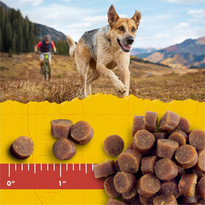 Zuke’s Mini Naturals Soft And Chewy Dog Treats For Training Pouch, Natural Treat Bites With Beef Recipe - 16 oz. Bag 1 Pound (Pack of 1)