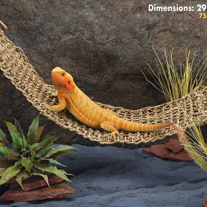 PENN-PLAX Reptology Lizard Lounger  100% Natural Seagrass Fiber  Great for Bearded Dragons, Anoles, Geckos, and Other Reptiles  Extra Large