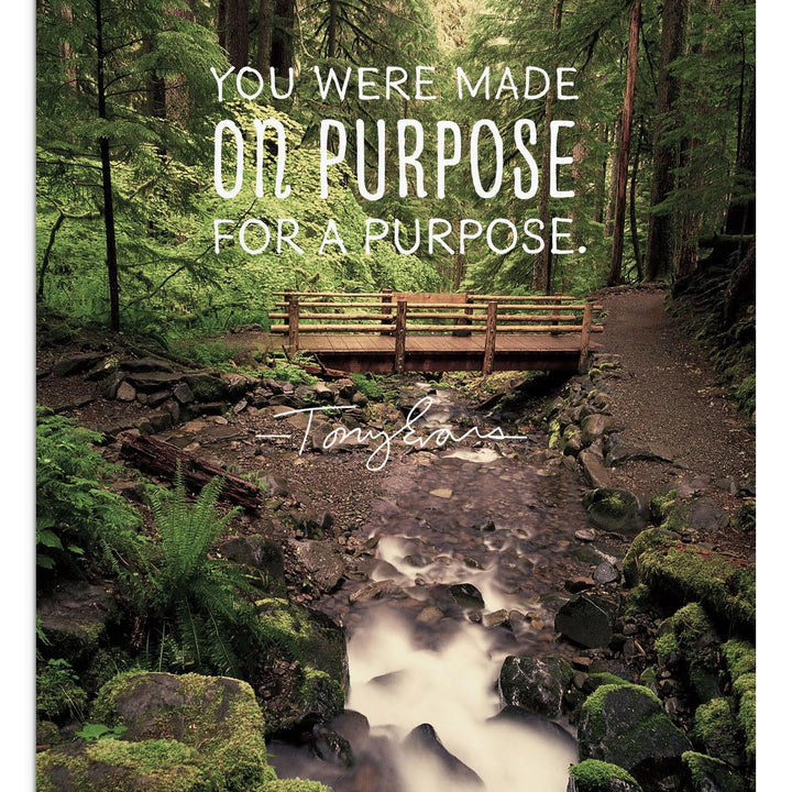 DaySpring - Tony Evans - You Were Made for a Purpose - 4 Design Assortment with Scripture - 12 Birthday Boxed Cards & Envelopes (18562)