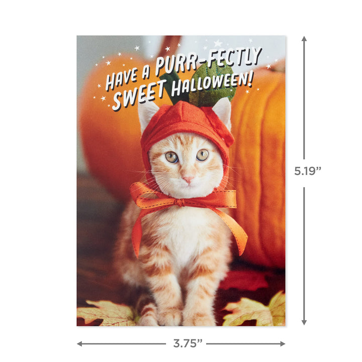 Hallmark Halloween Cards Assortment, Pet Puns (48 Cards with Envelopes) Halloween Punny Pets Card Assortment