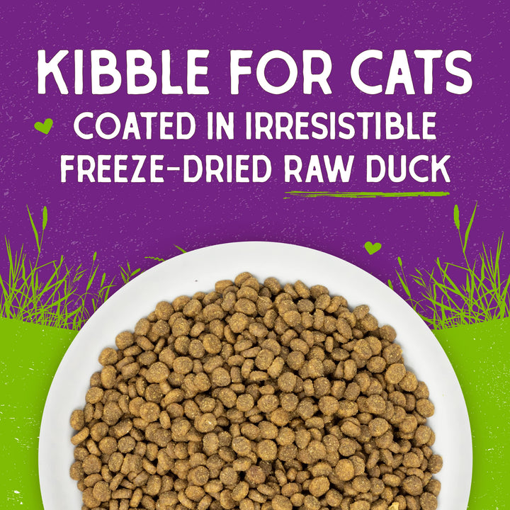 Stella & Chewy's Raw Coated Premium Kibble Cat Food – Grain Free, Protein Rich Meals – Cage-Free Duck Recipe – 2.5 lb. Bag 2.5 Pound (Pack of 1)