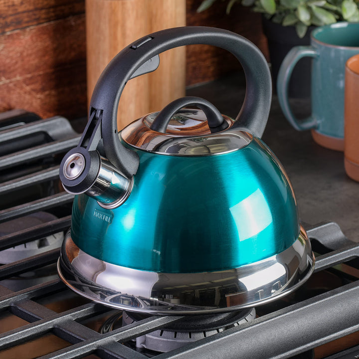 Mr. Coffee Flintshire Stainless Steel Whistling Tea Kettle W/Nylon Handle, 1.75-Quart, Metallic Teal Green