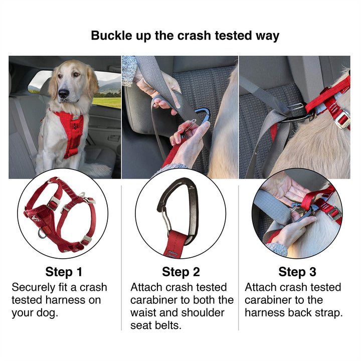 Kurgo Tru-Fit Enhanced Strength Dog Harness - Crash Tested Car Safety Harness for Dogs, No Pull Dog Harness, Includes Pet Safety Seat Belt, Steel Nesting Buckles (Deep Violet, X-Small) Deep Violet