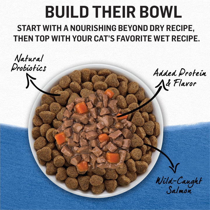 Purina Beyond Grain Free, Natural Pate Wet Cat Food, Grain Free Pate Variety Pack - (2 Packs of 12) 3 oz. Cans 2.25 Pound (Pack of 2) Variety Pack – Chicken & Seafood Pate – 3 Flavors