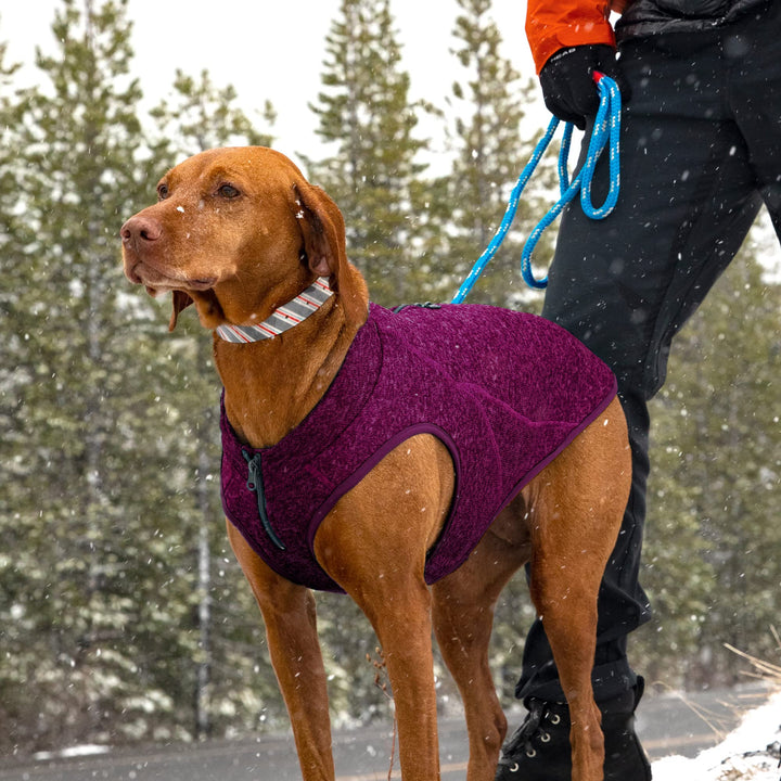 Kurgo Core Dog Sweater, Knit Dog Sweater With Fleece Lining, Cold Weather Pet Jacket, Zipper Opening for Harness, Adjustable Neck, Year-Round Sweater for Small Dogs (Heather Violet, X-Small) Extra Small Heather Violet