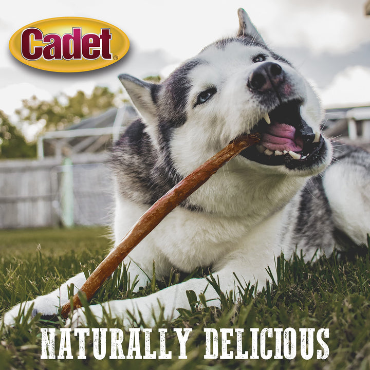 Cadet Bully Hide Sticks for Dogs - All-Natural Bully Stick & Beef Hide Dog Chews - Long Lasting Bully Sticks Alternative Made with 2 Ingredients - Dog Chews for Aggressive Chewers, Large (7 Count) 7 Count