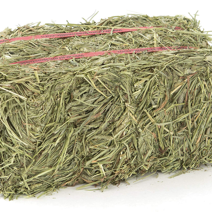 Grandpa's Best Timothy Hay Bale, 5lbs 5 Pound (Pack of 1)