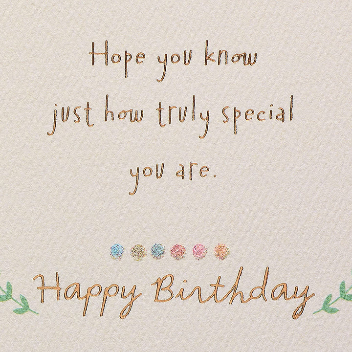 American Greetings Birthday Card for Granddaughter (No One Else Like You) No One Else Like You