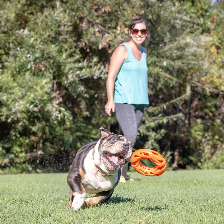 Chuckit Air Fetch Wheel Doy Toy, Orange