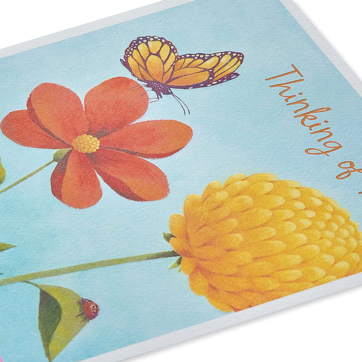 American Greetings Thinking of You Card (Brighten Up Your Day) Brighten Up Your Day