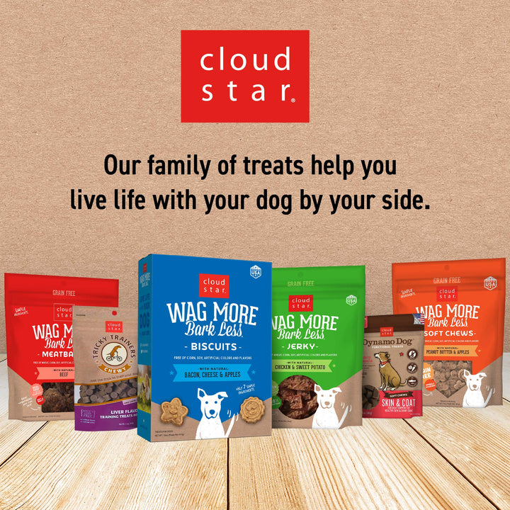 Cloudstar Wag More K.C. BBQ Chicken Jerky 10 Ounce Kansas City BBQ Chicken
