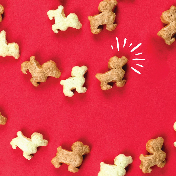 Plus - Puffed Dog Treats with Prebiotics and Probiotics - Bacon & Peanut Butter (24oz) - Made in USA 24 oz.