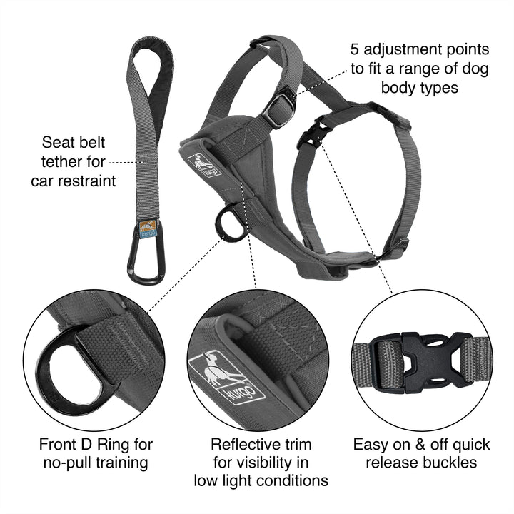 Kurgo Tru-Fit Quick Release Dog Harness - Durable, Everyday Harness for Dogs - Hiking, Walking, Running - Reflective, Quick Release Buckles - Includes Pet Seatbelt - No Pull Training - Gray, XL Grey X-Large