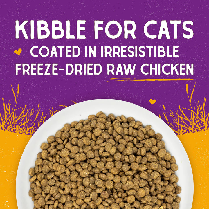 Stella & Chewy's Raw Coated Premium Kibble Cat Food – Grain Free, Protein Rich Meals – Cage-Free Chicken Recipe – 10 lb. Bag 10 Pound (Pack of 1)