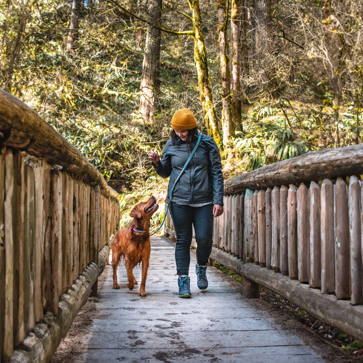 Kurgo 6 in 1 Quantum Leash, Hands Free Leash for Dogs, Running Belt Lead, Crossbody & Waist Belt Style, Reflective, Carabiner Clip, for Training, Hiking, or Jogging, 4 Colors,Blue Blue