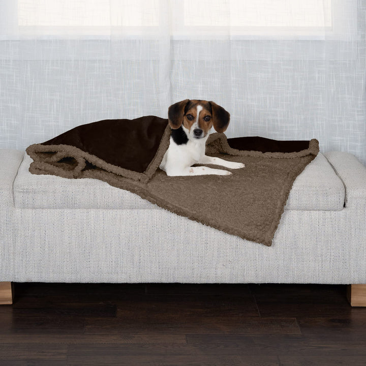 Furhaven Waterproof & Self-Warming Throw Blanket for Dogs & Indoor Cats, Washable & Reflects Body Heat - Soft-Edged Terry & Sherpa Dog Blanket - Espresso, Medium