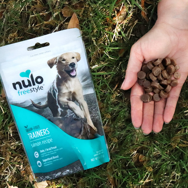 Nulo Freestyle Grain-Free Healthy Dog and Puppy Training Treats, Low Calorie Treats Made with Superfood Boost Ingredients, 2 Calories per Treat Salmon 1 Pound (Pack of 1)