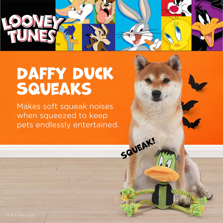 Looney Tunes for Pets Daffy Duck Plush Frankenstein Halloween Rope Pull Dog Toy | Daffy Duck Squeaky Dog Toy | Plush Fabric Dog Chew Toy Rope Toy for Dogs, 9 Inch, (FF16975) Daffy Frankenstein