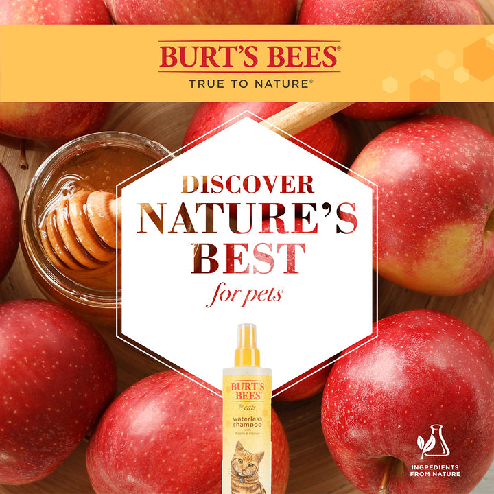 Burt's Bees for Pets Cat Waterless Shampoo with Apple & Honey | Dry Cat Shampoo Cat Waterless Shampoo Spray | Cruelty Free, Sulfate & Paraben Free, pH Balanced for Cats - Made in USA, 10 Oz- 2 Pack 10 Fl Oz (Pack of 2)