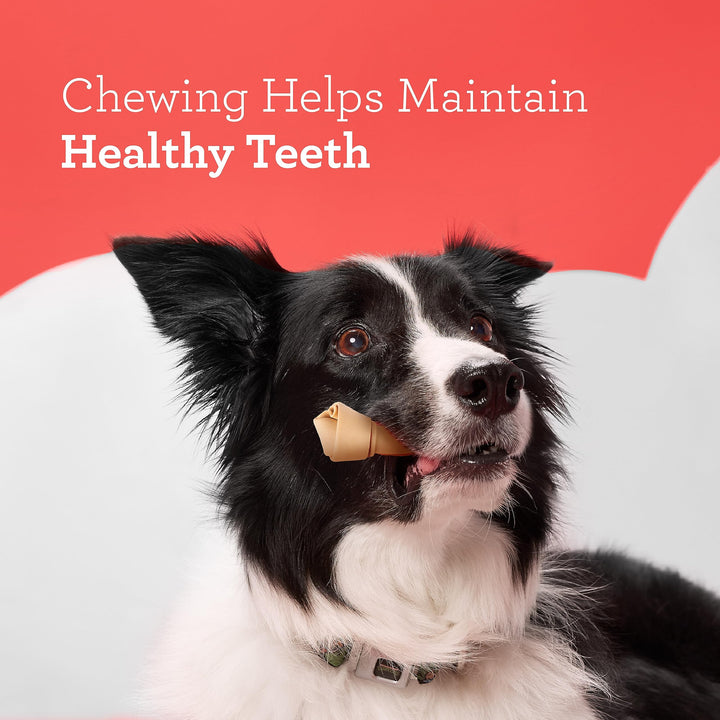 DreamBone Vegetable & Chicken Dog Chews, Rawhide Free, Small, 10-Count (DBC-02029) 10 Count (Pack of 1)