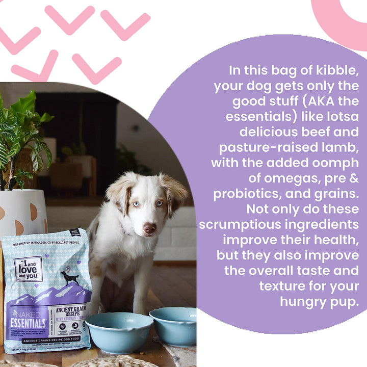 I and love and you Naked Essentials Dry Dog Food for Puppies - Chicken + Lentils - High Protein, Real Meat, No Fillers, Prebiotics + Probiotics, 4lb Bag 4 Pound (Pack of 1)