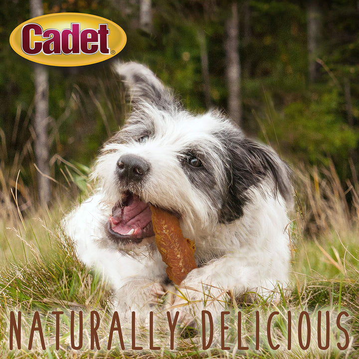 Cadet Gourmet Chicken Breast Dog Treats 14 oz.