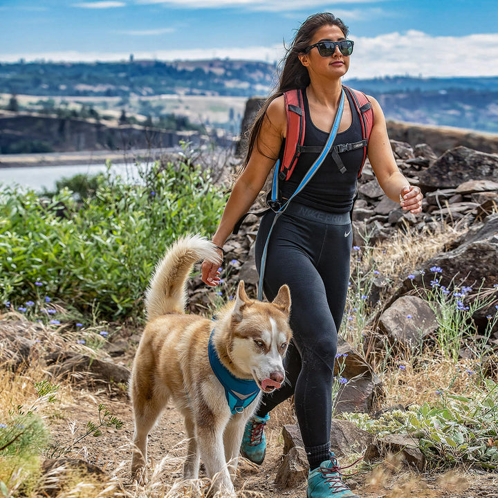 Kurgo 6 in 1 Quantum Leash, Hands Free Leash for Dogs, Running Belt Lead, Crossbody & Waist Belt Style, Reflective, Carabiner Clip, for Training, Hiking, or Jogging, 4 Colors Black