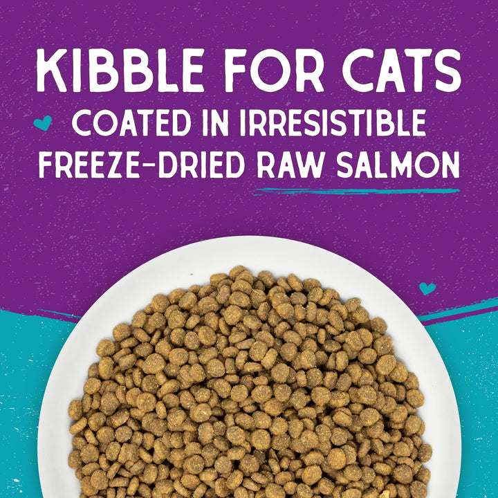 Stella & Chewy's Raw Coated Premium Kibble Cat Food – Grain Free, Protein Rich Meals – Wild Caught Salmon Recipe – 5 lb. Bag Wild-Caught Salmon Recipe 5 Ounce (Pack of 1)