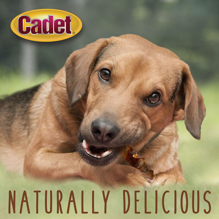 Cadet Gourmet Sweet Potato & Chicken Wraps Dog Treats - Healthy and Natural Chicken and Sweet Potato Dog Training Treats for Small & Large Dogs - Inspected & Tested in USA (28 oz.) 28 Ounce (Pack of 1)