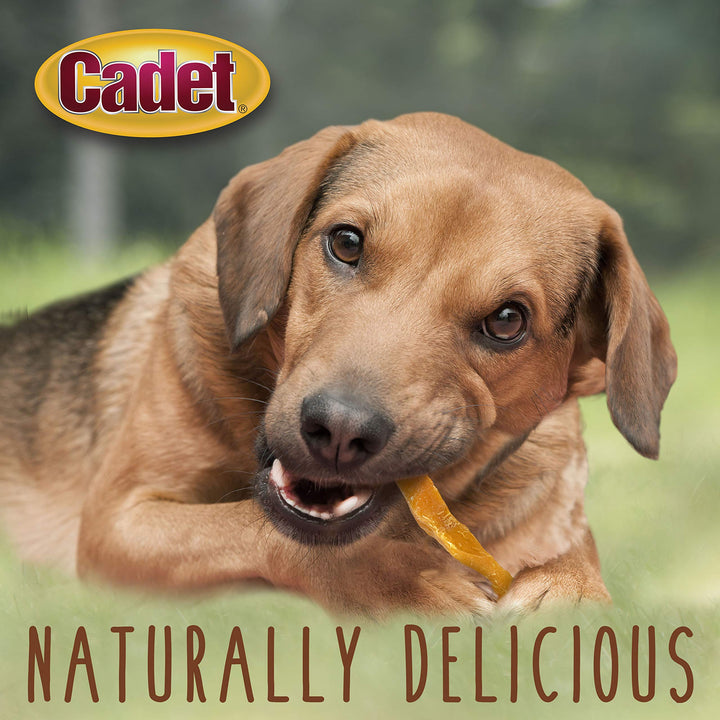 Cadet Gourmet Sweet Potato Fries Dog Treats - Healthy & Natural Sweet Potato Dog Training Treats for Small & Large Dogs - Inspected & Tested in USA (1 lb.) 1 Pound (Pack of 1)