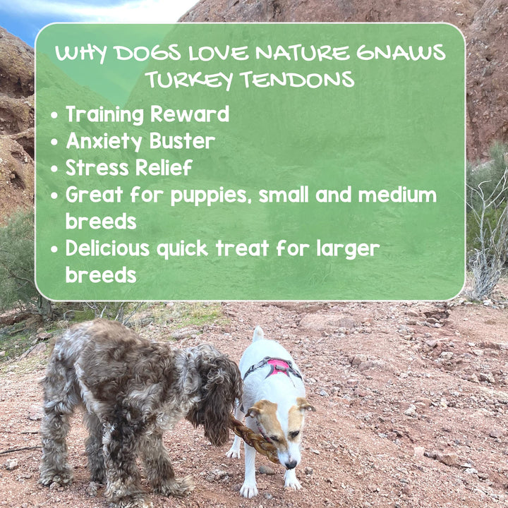Nature Gnaws - Turkey Tendons for Dogs - Premium Natural Chew Treats - Delicious Reward Snack for Small Medium & Large Dogs - Made in The USA - 1 lb