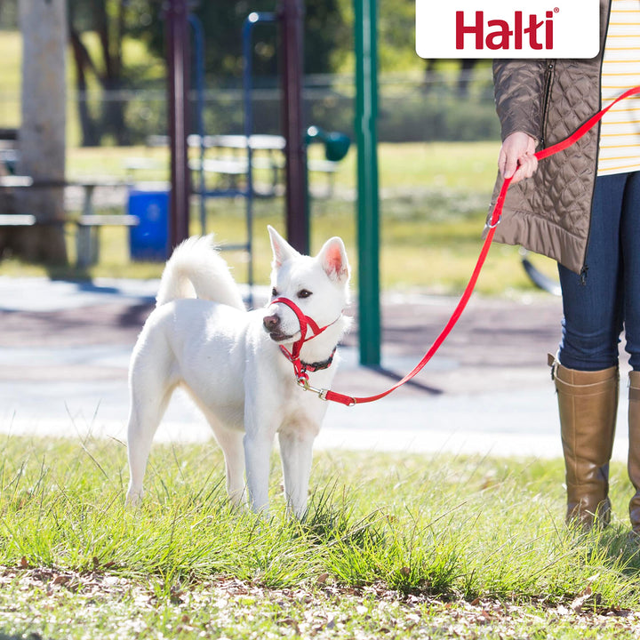 HALTI Training Leash - Multifunctional Double-Ended Dog Leash, Ideal for Anti-Pulling Dog Training. Easy to Use, Lightweight & Durable. Suitable for Medium to Large Dogs & Puppies (Size Large, Red)