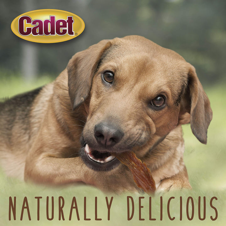 Cadet Gourmet Duck Breast Dog Treats - Healthy & Natural Dog Training Treats for Small & Large Dogs - Inspected & Tested in USA (14 oz.)