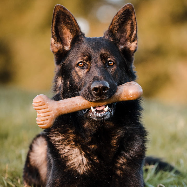 Bulkster Durable Chew Toy for Aggressive Chewers, Real Beef, Made in USA, Giant
