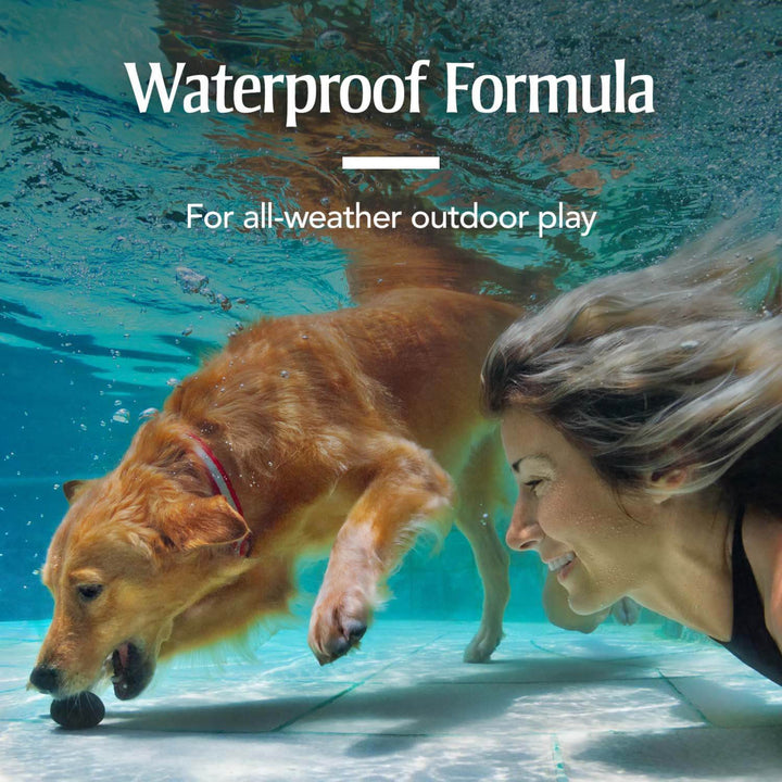 PetArmor for Dogs, Flea and Tick Treatment for Medium Dogs (23-44 Pounds), Includes 3 Month Supply of Topical Flea Treatments 3 Count 22-44 lbs