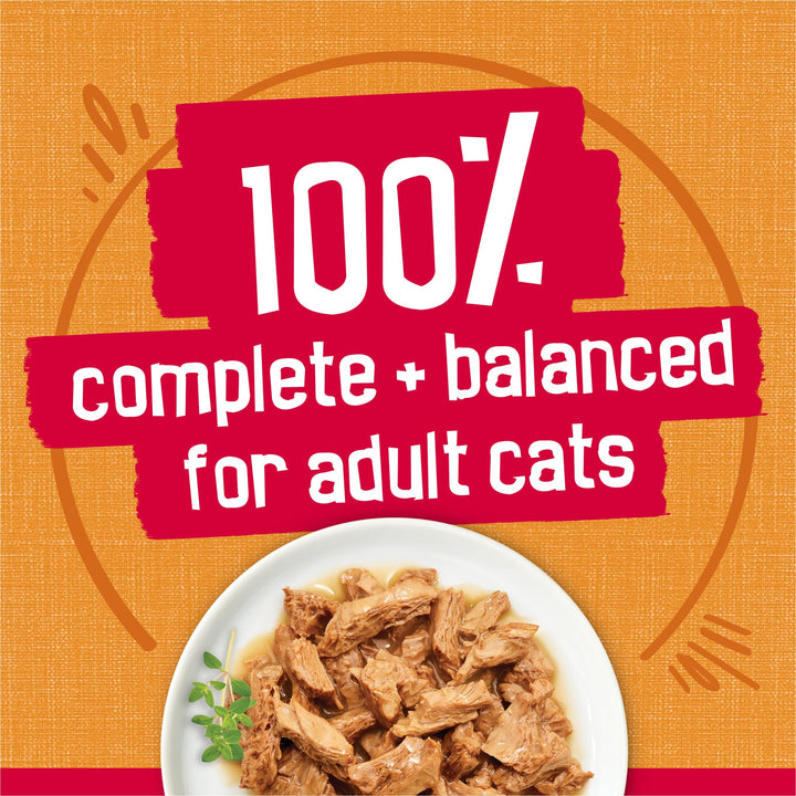 Purina Friskies Prime Filets With Chicken in Wet Cat Food Gravy - (Pack of 24) 5.5 oz. Cans