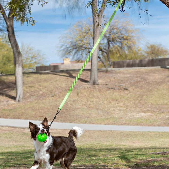 Jolly Pets Tree Tugger For Dog, Green