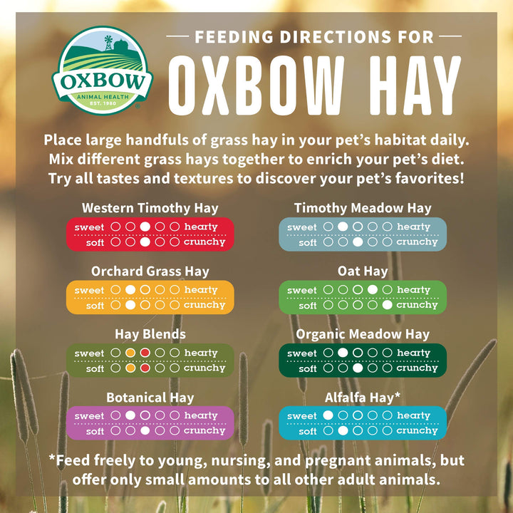 Oxbow Animal Health Organic Meadow Hay, for Rabbits, Guinea Pigs, and Small Pets, Grown in The USA, Farm Fresh, 40 Ounce 40 Ounce (Pack of 1)