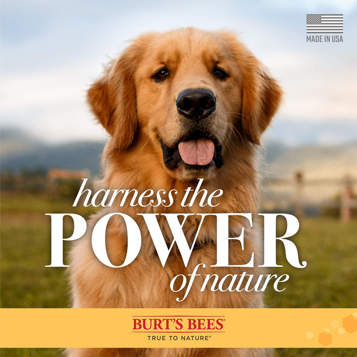 Burt's Bees for Pets Detangling Spray | Made with Lemon & Linseed to Nourish Dogs' Coats | Best Fur Detangler, Cruelty Free, Sulfate & Paraben Free, pH Balanced for Dogs - Made in USA, 10 Oz - 2 Pack