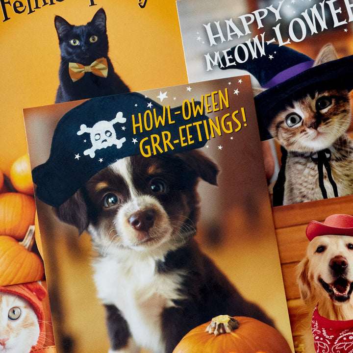 Hallmark Halloween Cards Assortment, Pet Puns (48 Cards with Envelopes) Halloween Punny Pets Card Assortment